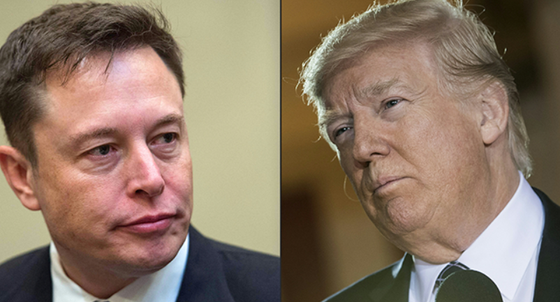After purchasing twitter, Elon Musk to lift ban on Trump