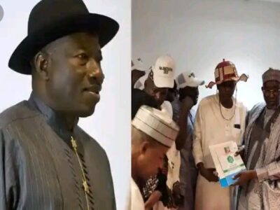 ‘An Insult’: Jonathan rejects APC presidential form