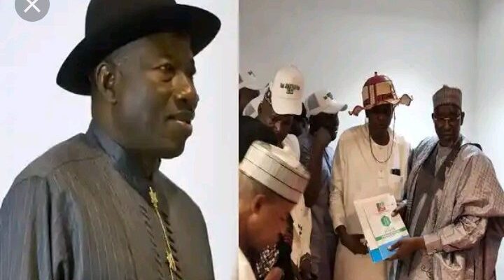 ‘An Insult’: Jonathan rejects APC presidential form