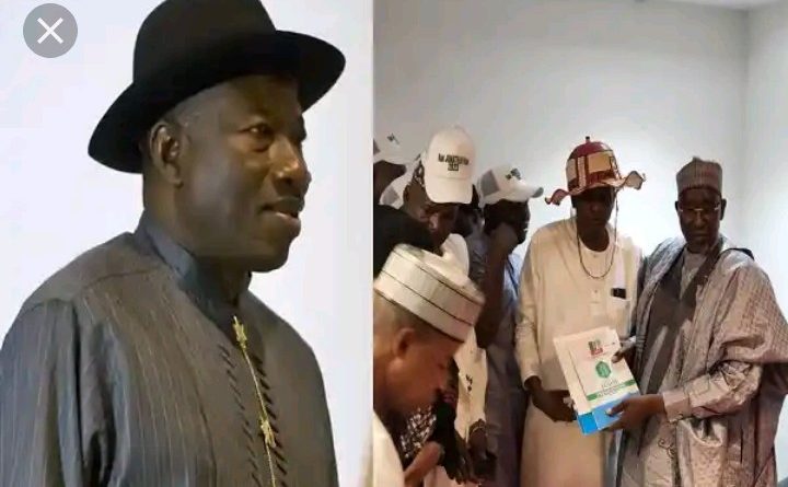 ‘An Insult’: Jonathan rejects APC presidential form
