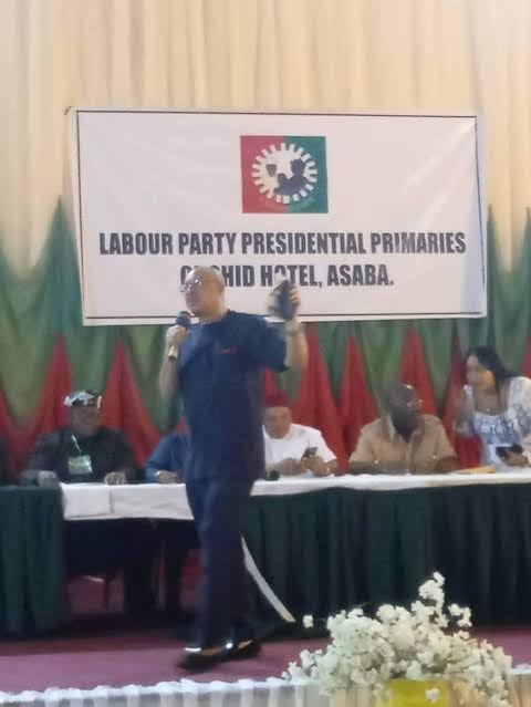 Peter Obi emerges Labour Party presidential candidate