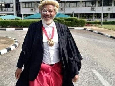 ICYMI: Drama as lawyer storms Supreme Court dressed as native doctor