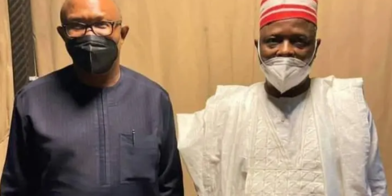 NNPP, Labour Party plan merger for Peter Obi, Kwankwaso presidential ticket