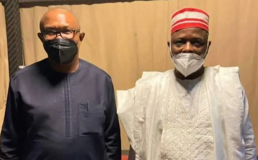 NNPP, Labour Party plan merger for Peter Obi, Kwankwaso presidential ticket