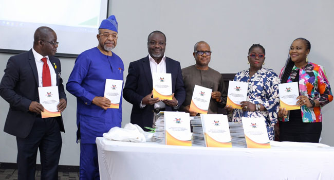 Lagos releases guidelines on abortion
