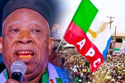 No plot to remove National Chairman, says APC