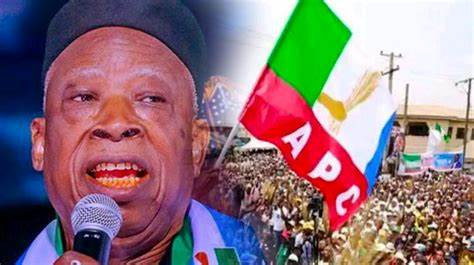 No plot to remove National Chairman, says APC
