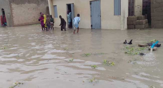 Flood kills 50, displaces many in Jigawa