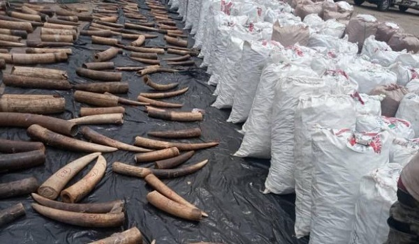 Court convict Vietnamese For Trafficking In Pangolin Scales