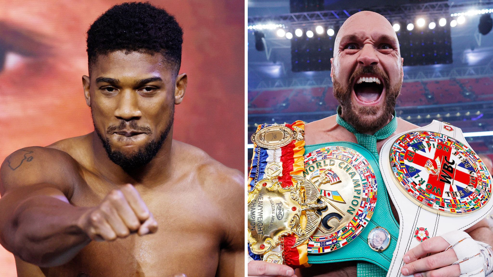 Anthony Joshua accepts ‘all terms’ to fight Tyson Fury