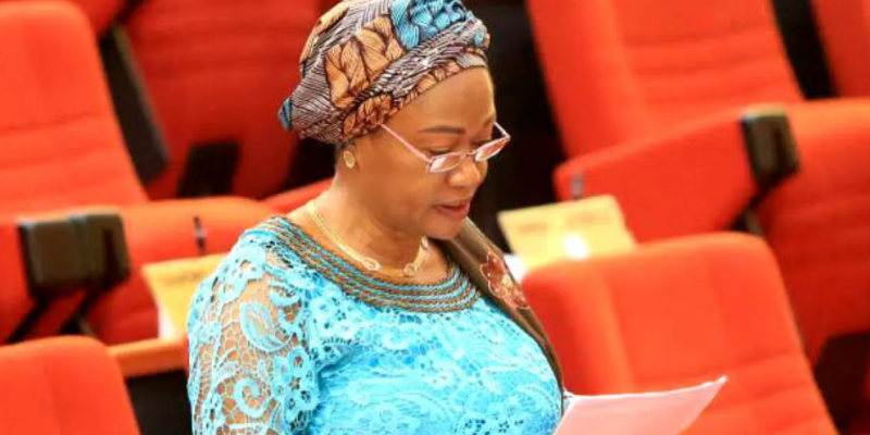 2023 Budget: I’m against leaving debt for next administration - Sen. Tinubu