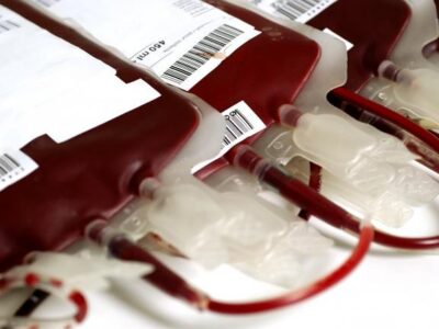 FG declares Dec 8 National Blood Donor Day