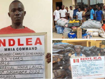 NDLEA intercepts Brazil returnee with parcels of cocaine, arrests 16 other suspects