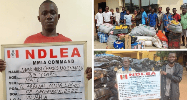 NDLEA intercepts Brazil returnee with parcels of cocaine, arrests 16 other suspects