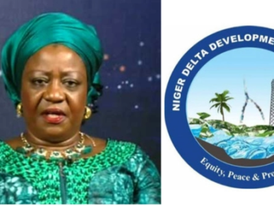 JUST IN: NASS screens Lauretta Onochie, others for NDDC roles