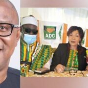 ADC adopts Peter Obi for president