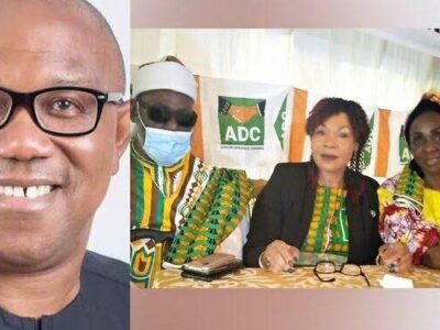 ADC adopts Peter Obi for president