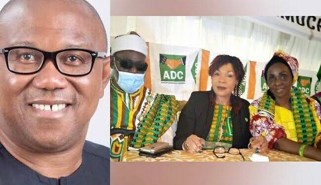 ADC adopts Peter Obi for president
