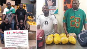 Court jails six drug traffickers for 156 years in Lagos, Ogun