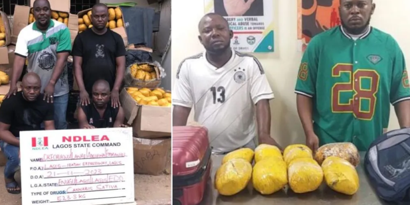 Court jails six drug traffickers for 156 years in Lagos, Ogun