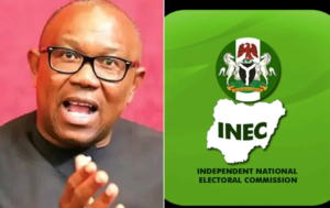 Court of Appeal to rule on INEC, Peter Obi’s case on Wednesday