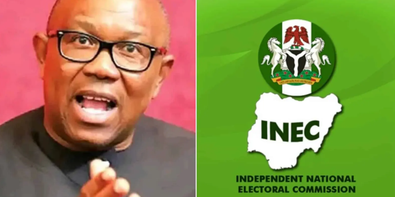Court of Appeal to rule on INEC, Peter Obi’s case on Wednesday