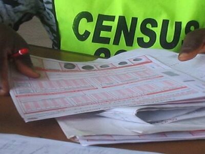 Election postponement may affect commencement of 2023 Census – NPC
