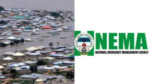 2023 Forecast: Many states risk worse flooding; low rainfall expected in FCT, 5 other states
