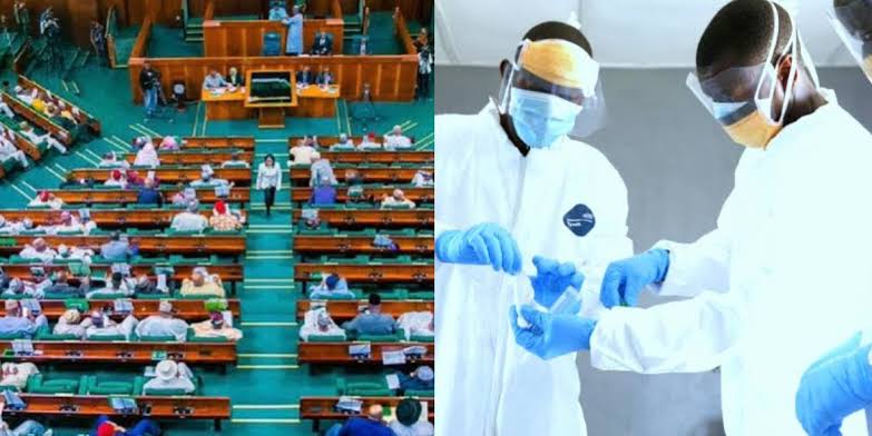 Reps advance bill to prevent Nigerian doctors, dentists from relocating abroad to practise early