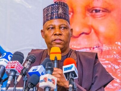 There is no Islamisation agenda, Shettima tells Nigerians
