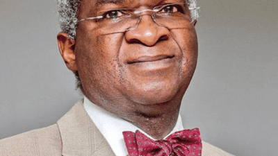babatunde-raji-fashola-at-60