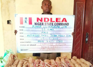 NDLEA-Intercepts-399-Explosives-Arrests-Grandma-Others-Over-Illicit-Drugs