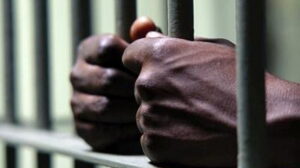Driver-Jailed-10-Years-For-Trafficking-3-Tonnes-of-Cannabis