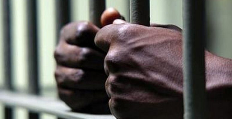 Driver-Jailed-10-Years-For-Trafficking-3-Tonnes-of-Cannabis