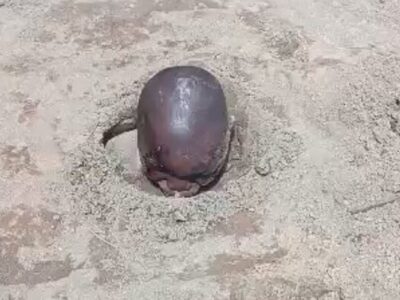 17-Year-Old-Buries-Brother-Alive-Over-N1000-Theft
