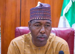 Boko-Haram-Borno-gov-lauds-private-initiative-to-aid-recovery-process