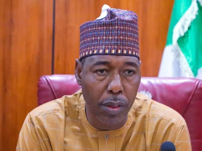 Boko-Haram-Borno-gov-lauds-private-initiative-to-aid-recovery-process
