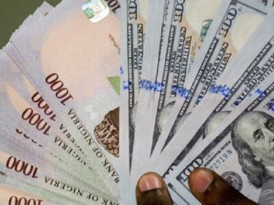 Naira-Appreciates-Against-Dollar-For-First-Time-In-Three-Weeks
