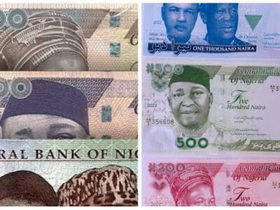 Old-And-New-Naira-Notes-To-Co-Exist-Until-Further-Notice-Supreme-Court
