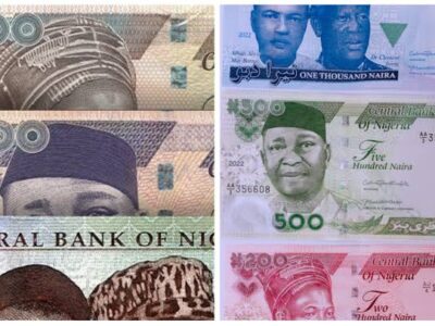CBN-Extended-the-use-of-Old-Naira-Notes-Indefinitely