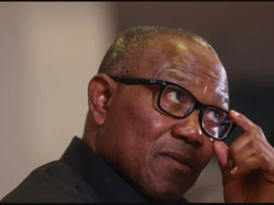 Presidency-Replies-Peter-Obi-As-To-Why-Nigerians-Rejected-Him
