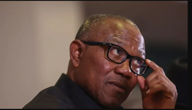 Presidency-Replies-Peter-Obi-As-To-Why-Nigerians-Rejected-Him