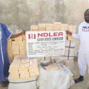 NDLEA-intercepts-1,274-parcels-of-cocaine-colorado-in-Lagos-5.6m-opioid-pills-in-Kano